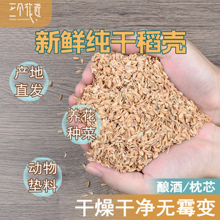 新鲜干稻壳稻糠酿酒填充枕头干净芦丁鸡垫料养花种菜特价稻谷壳