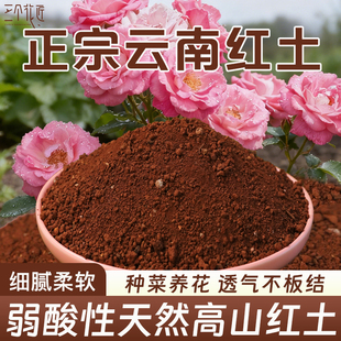 云南红土种植土种花蓝莓专用酸性颗粒土壤月季山茶桂花营养土养龟