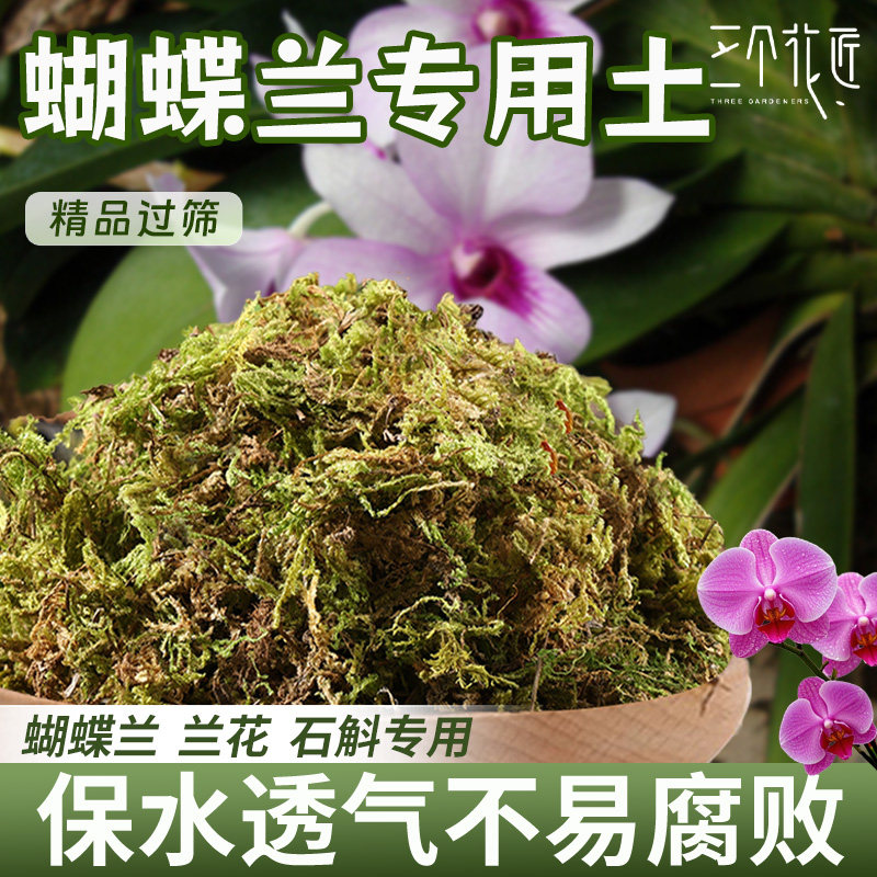 蝴蝶兰专用土青苔水苔天然干苔藓兰花营养土盆栽石斛兰植料种植土