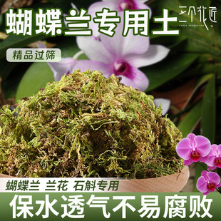 蝴蝶兰专用土青苔水苔天然干苔藓兰花营养土盆栽石斛兰植料种植土