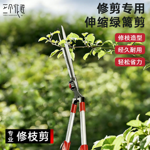 园艺剪刀大剪刀修枝剪果树粗枝可伸缩篱笆剪园林草坪绿化专用剪子