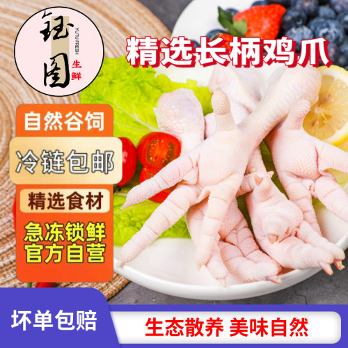 新鲜冷冻鸡爪大鸡爪子长爪