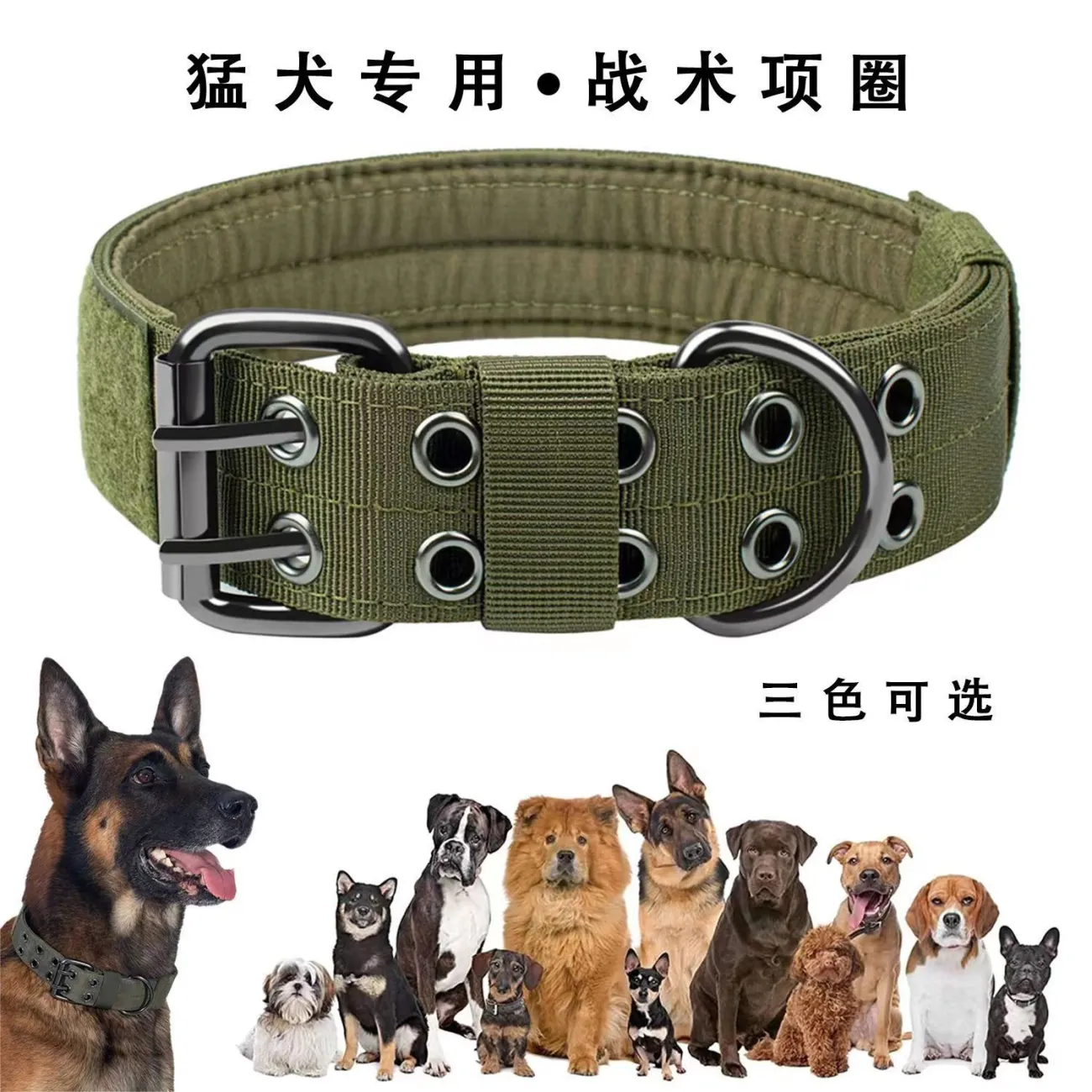 狗链子拉布拉多专用土狗脖圈金毛狗链条栓狗绳狗狗牵引绳大中型犬