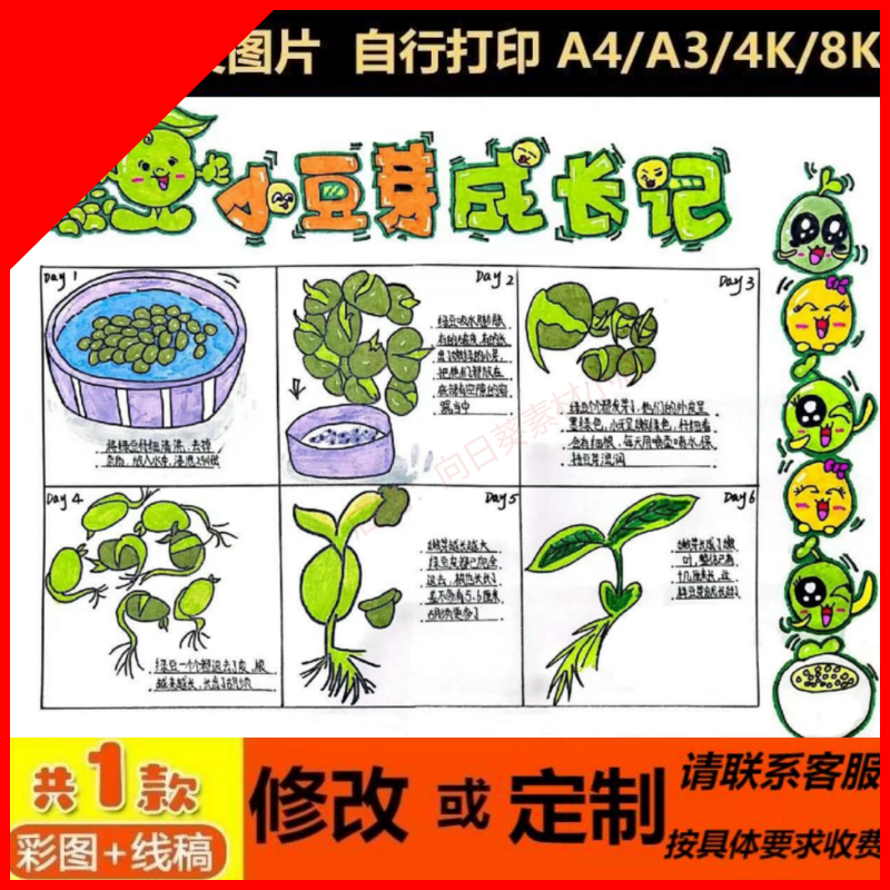 可打印小豆芽成长记手抄报电子模板植物生长观察日记小学生记录表