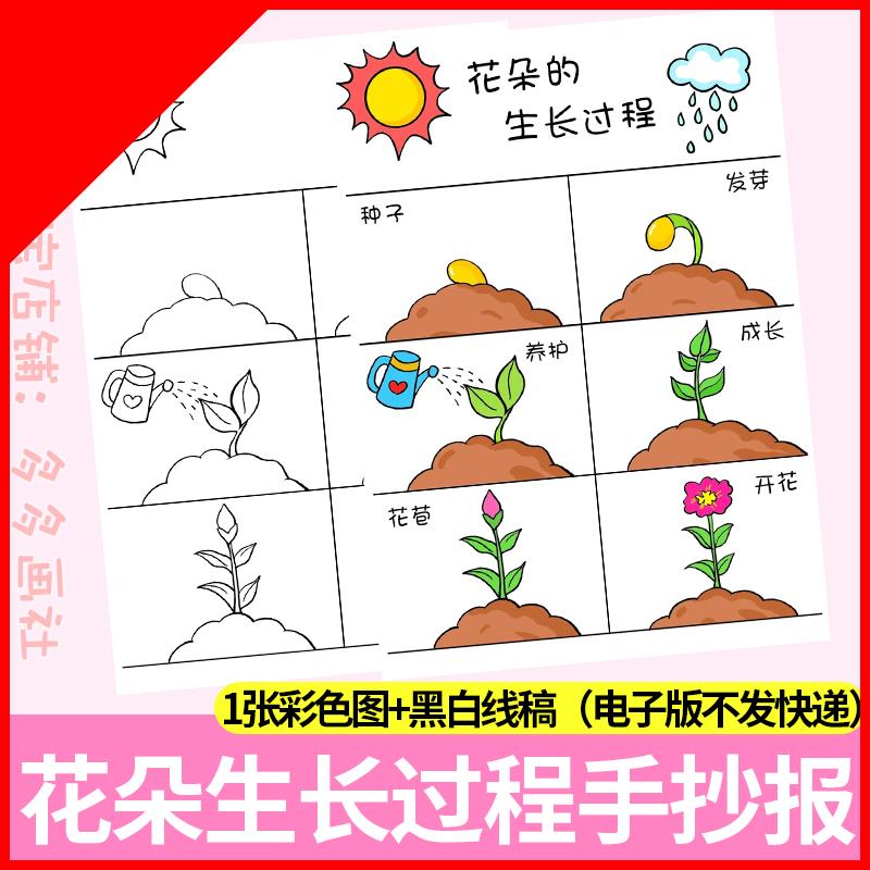 可打印植物生长过程手抄报花朵自然笔记模板植物观察日记勾线 线