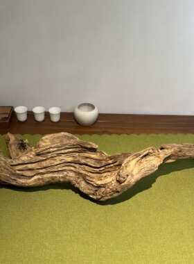 枯木逢春风化木树根创意盆景花盆