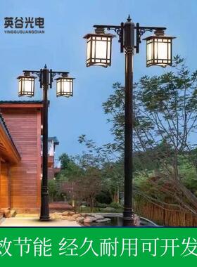 园林工程4米古风景观灯市电景区庭院灯led广场夜间照明灯