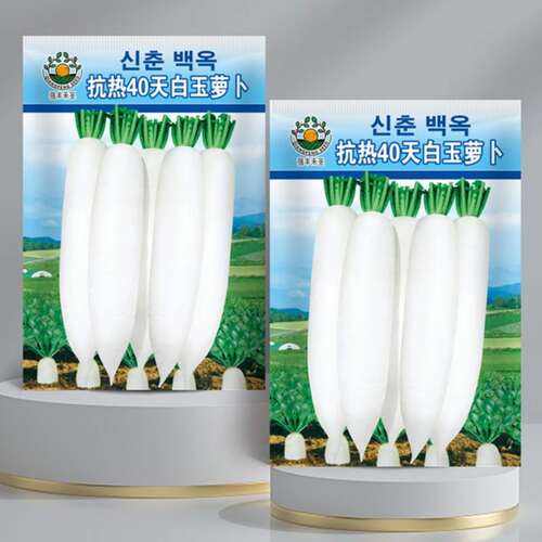 白玉萝卜种子春夏播白玉春白萝卜种籽高产早熟耐热抗病蔬菜种孑
