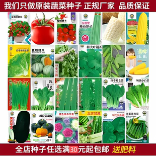 四季播种蔬菜种子阳台大棚菜籽黄瓜生菜西红柿草莓韭菜盆栽菜种子