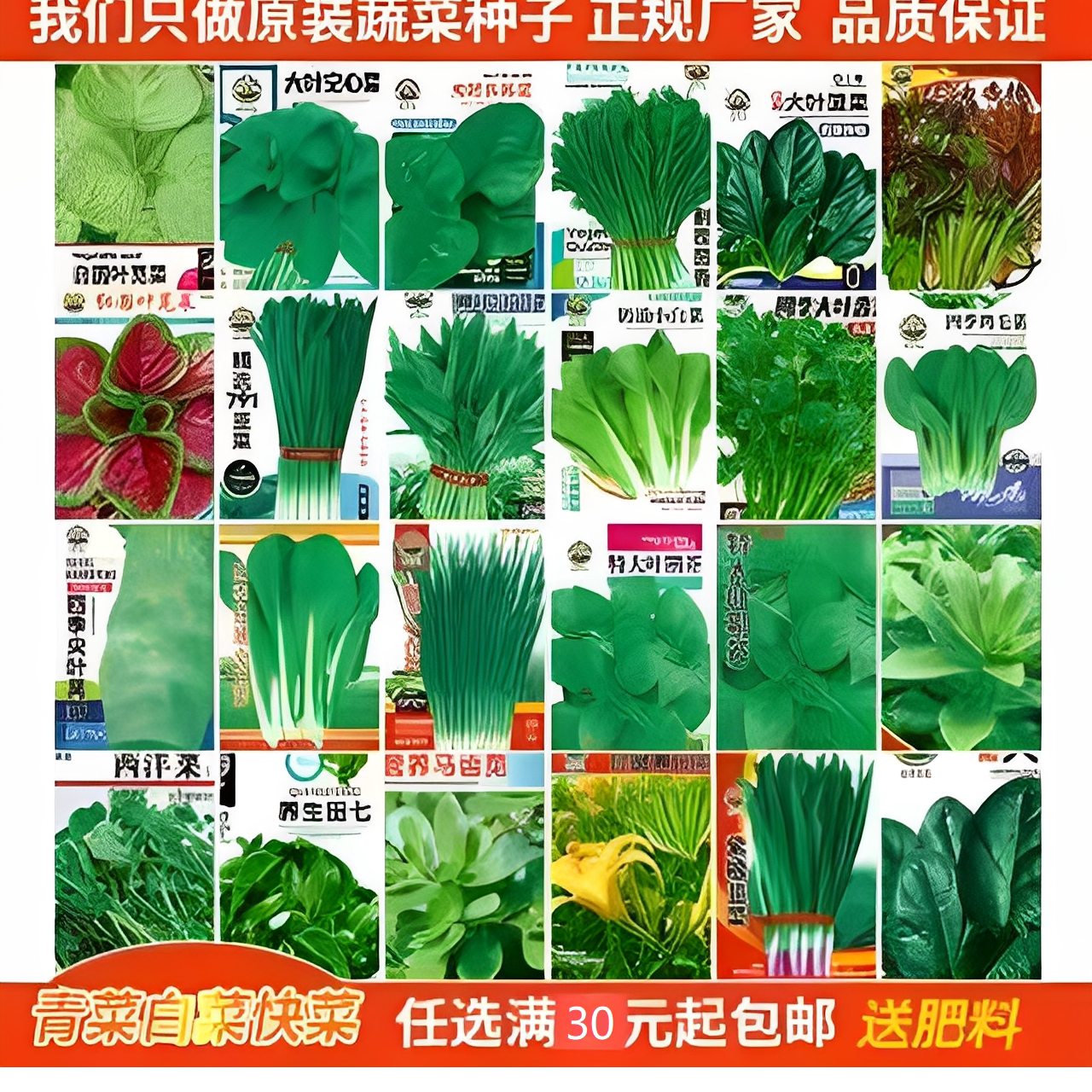 蔬菜种子组合装四季播菜种籽阳台盆栽庭院易种春秋季蔬菜种子大全图片