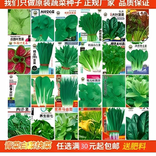 原装蔬菜种子大全四季播阳台盆栽生菜菠菜香菜小葱青菜种西洋青麻