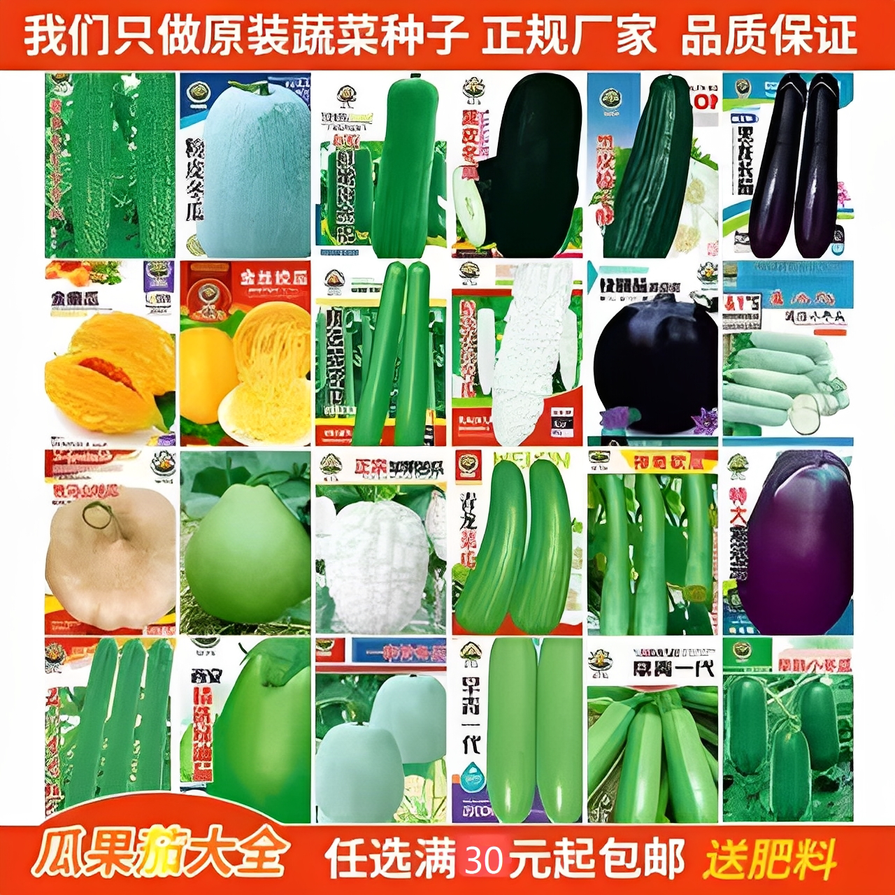 彩包四季蔬菜种子组合装蔬菜种子大全菜园阳台盆栽种子生菜鸡毛菜图片
