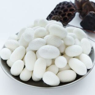 2025新鲜天然完整单宫桑蚕烘干蚕茧带蚕蛹可抽丝蚕球蚕丝扇材料包