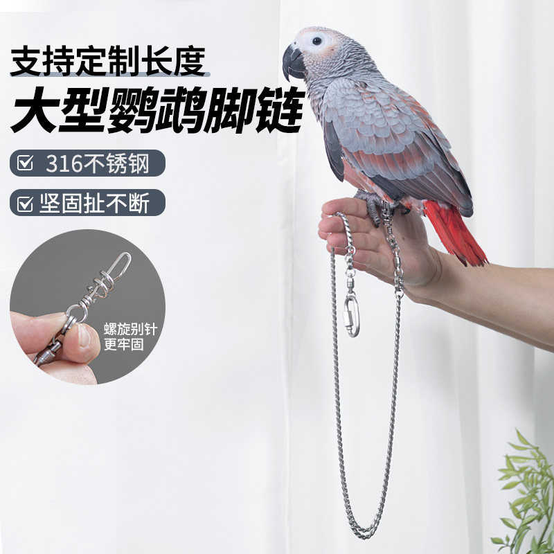 中大型鹦鹉脚链不伤脚鹦鹉脚环免费刻字防脱扣鸟脚链不锈钢蛇骨链