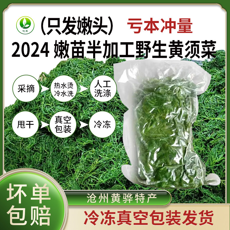 野菜黄须菜黄骅特产野生菜盐碱地碱蓬菜包饺子馅涮肉可凉拌黄须菜