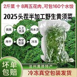河北野菜黄须菜碱蓬水饺馅火锅菜