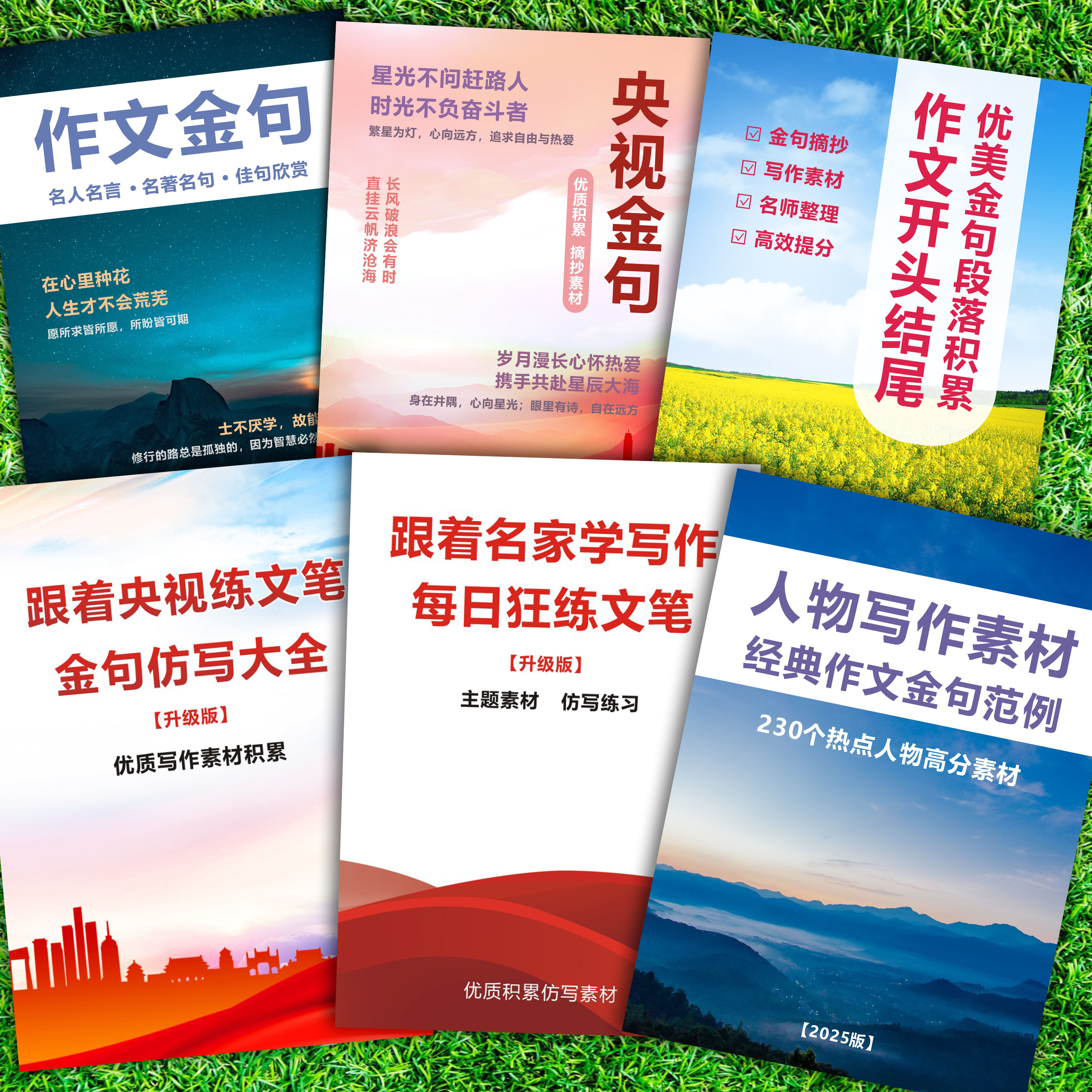 跟着央视练文笔名家学写作