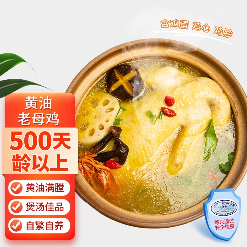 大别山正宗黄油老母鸡慢养500天散养走地鸡土鸡冷冻整只顺丰包邮