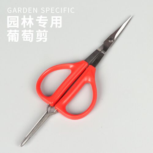 园艺剪刀修枝剪葡j萄剪采果芽剪果树剪刀家用省力树枝剪子修花剪