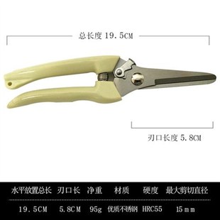 园林剪枝果树剪树枝花园花草剪刀B修枝剪家用花枝剪刀园艺剪枝剪