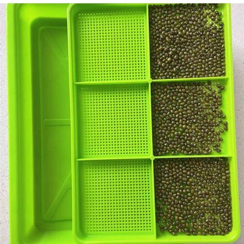 猫草水培器皿盒子盆大育苗w发芽盘无土盆栽防拔打不翻自种豆苗盘