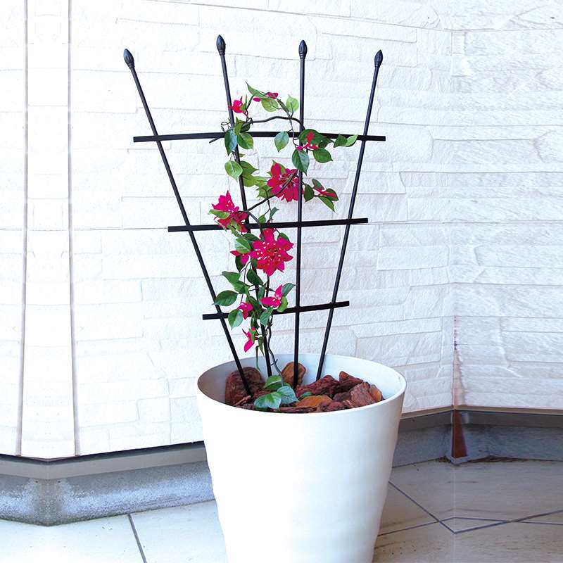 家用昙花专用支架藤蔓植物爬藤架子花卉防倒支架爬藤植物固定架
