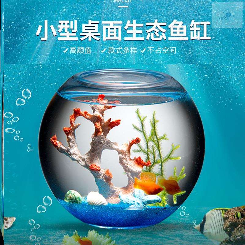 网红鱼缸创意客厅电视柜旁小型桌面家用造景迷你水族馆2021新款