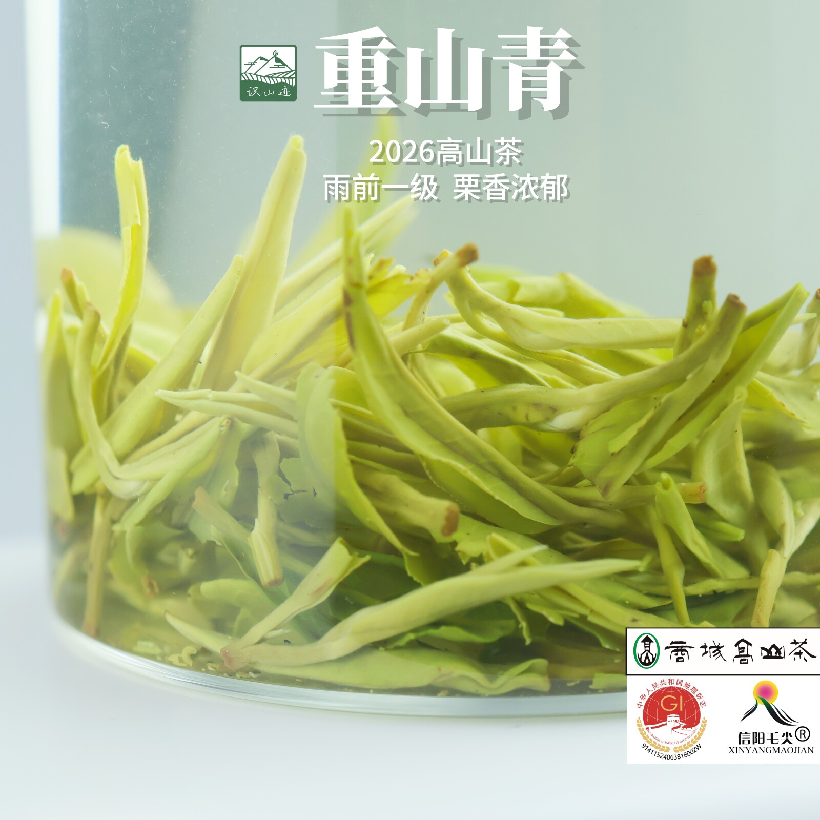 识山迹重山青 毛尖茶叶信阳毛尖2026新茶一级高山嫩芽叶栗香250g