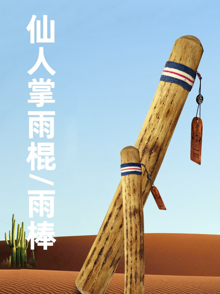 德瑞terre雨棍南美智利仙人掌雨棒雨声器雨声筒民族小众乐器音疗