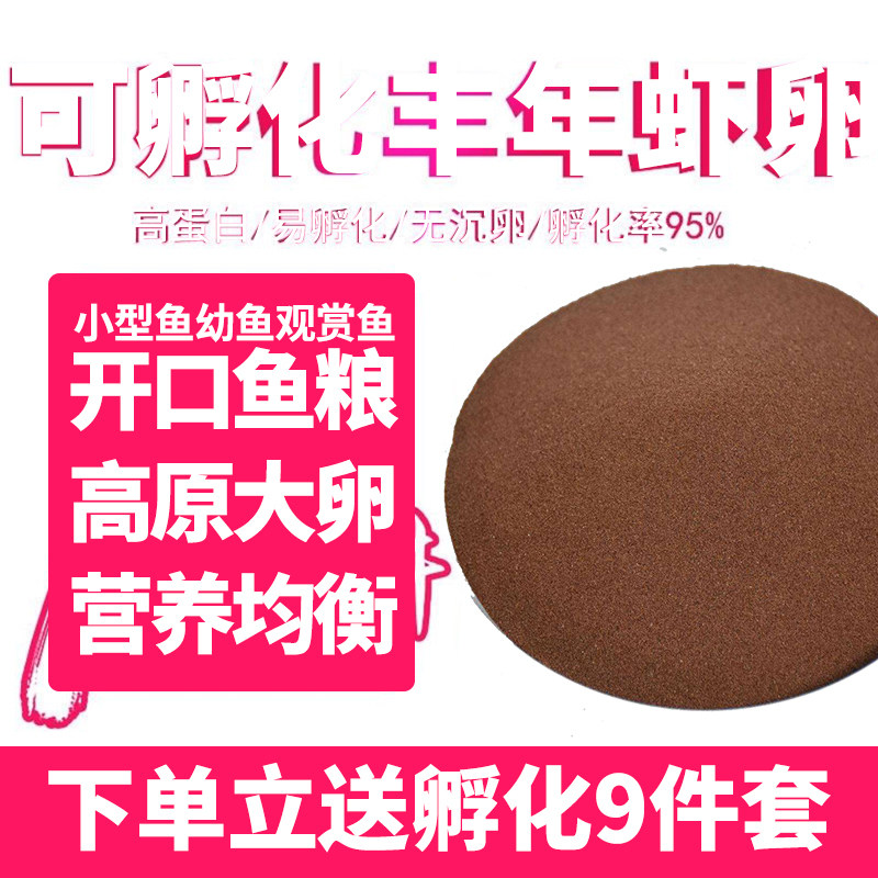 丰年虾卵可孵化西藏高原大红卵新卵小鱼苗开口活体饲料斗鱼超细卵