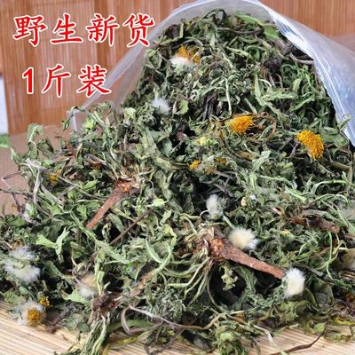 蒲公英茶正品中药材新鲜散茶官方旗舰店干草不特级野生浦公英叶根