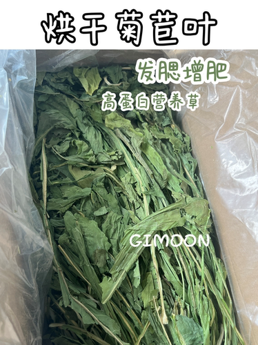 25年烘干菊苣优质叶发腮增肥营养草| 豚鼠兔子荷兰猪龙猫新鲜