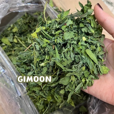 25年苜蓿草纯叶叶兔子荷兰猪龙猫幼年主草高蛋白发腮干牧草草