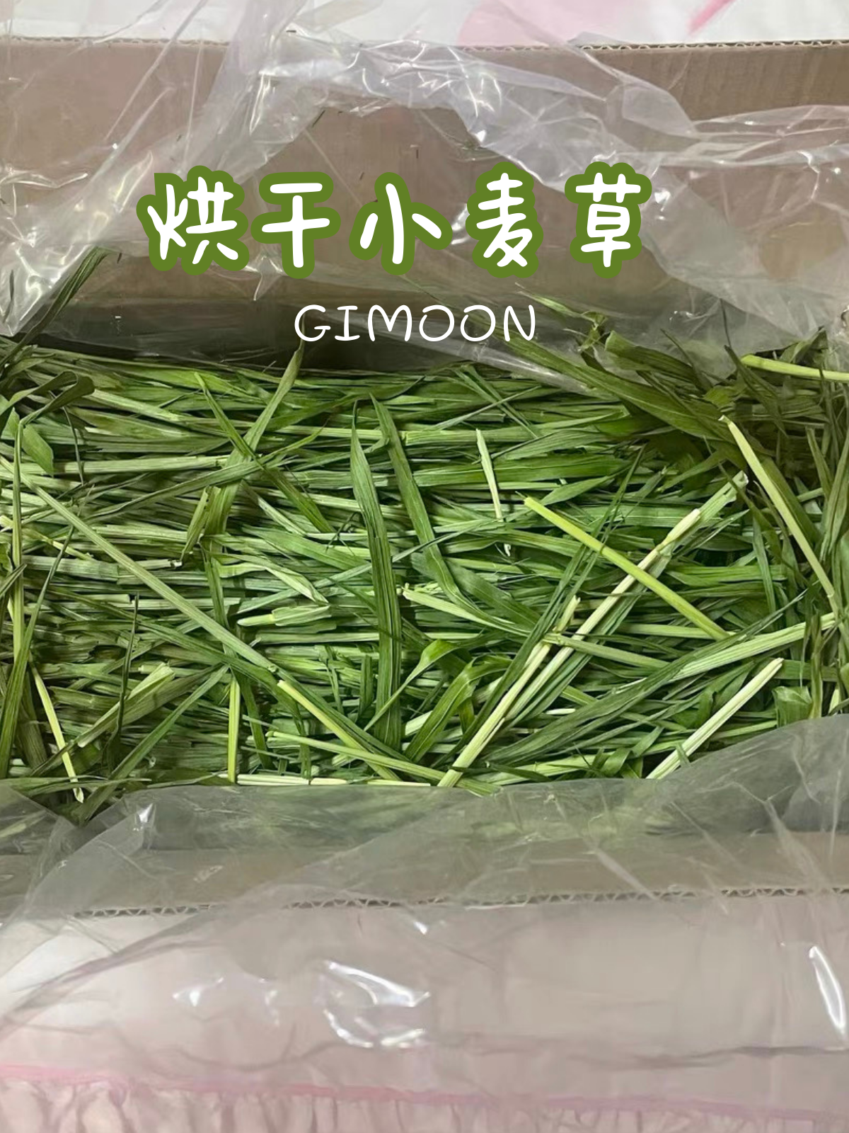 25年头茬烘干小麦苗苗|排毛补充维生素兔兔子龙猫豚鼠荷兰猪,宠物/宠物食品及用品,兔兔干草,淘宝优惠券,粉丝福利购,淘宝优惠卷