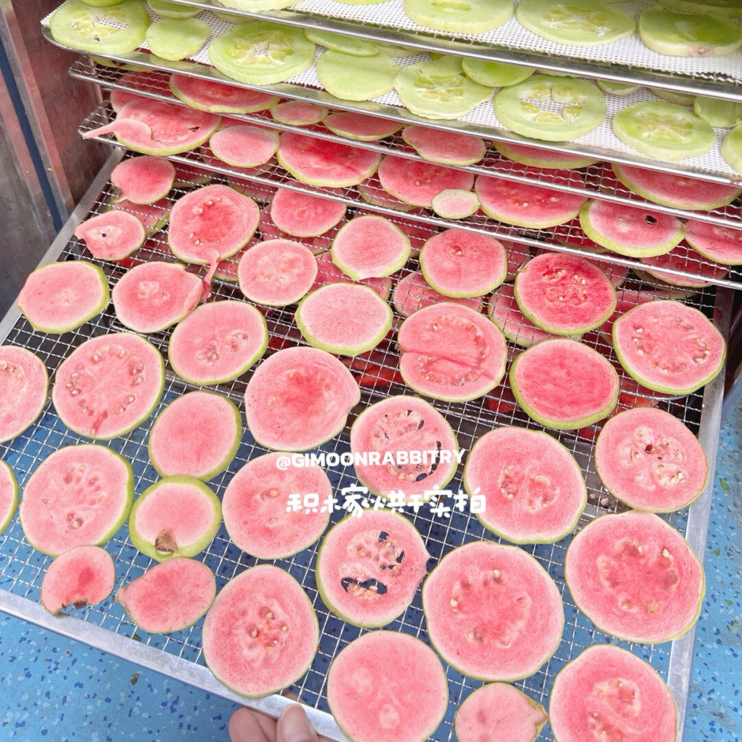 积木家兔子零食水果干天然凤梨木瓜酵素荷兰猪龙猫互动宠物零食