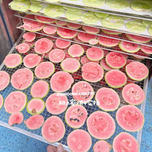 积木家兔子零食水果干天然凤梨木瓜酵素荷兰猪龙猫互动宠物零食