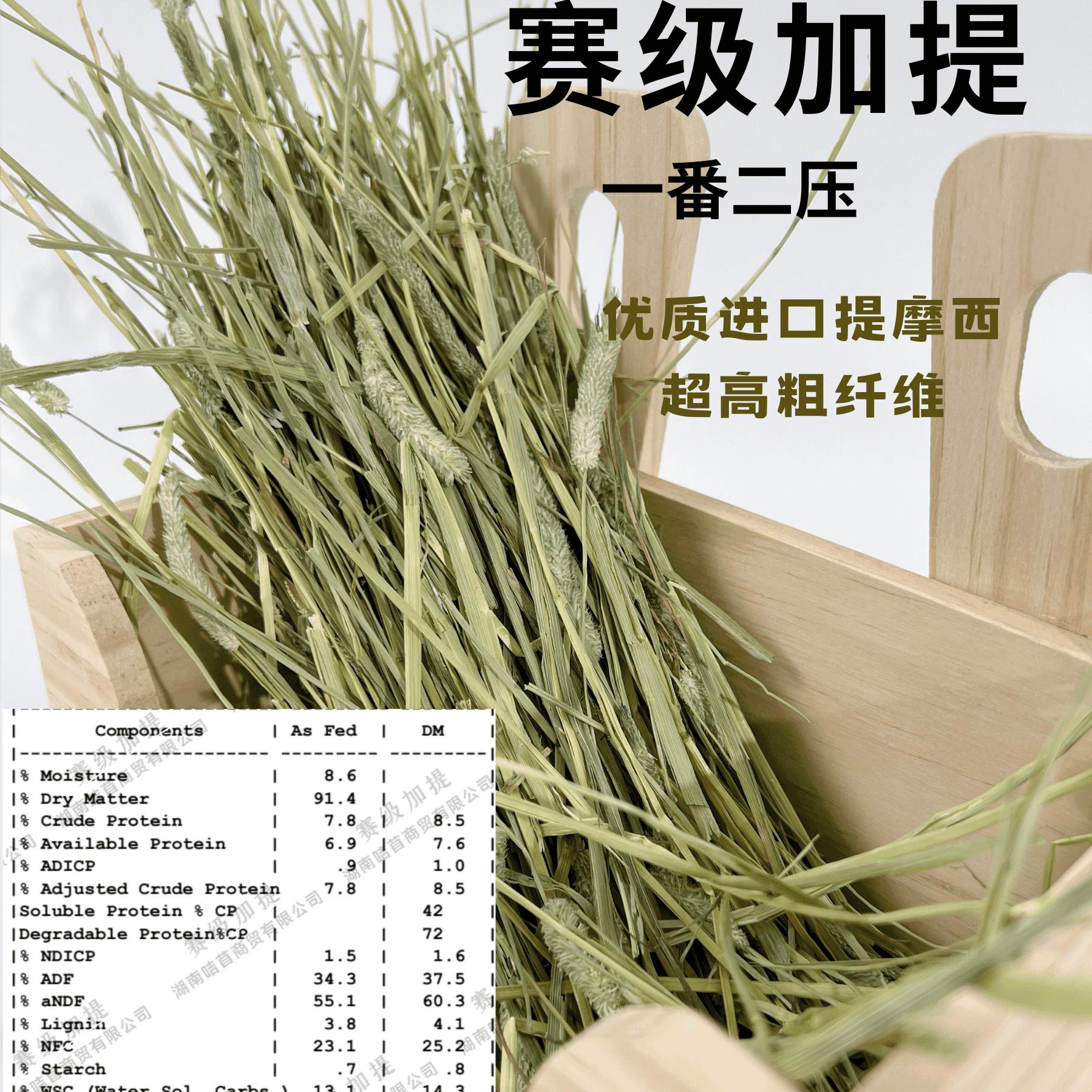 25年SP赛级加拿大提摩西干草兔子龙猫荷兰猪高山雪水主草高粗纤维