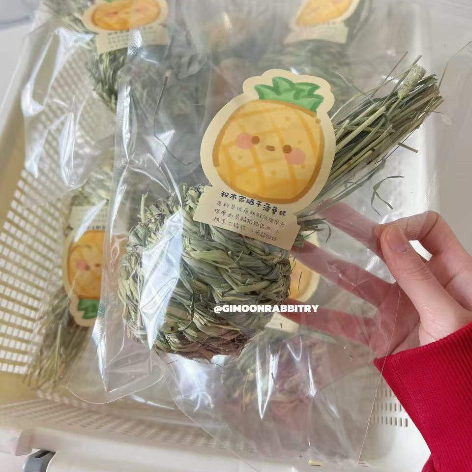 积木菠萝干草球兔兔磨牙
