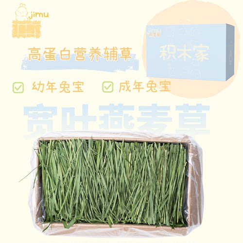 积木家头牌燕麦草“甘甜草”|烘干5A|兔子豚鼠荷兰猪草营养丰富