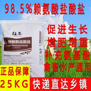 兽用赖氨酸98.5%饲料添加剂猫鸡鸭牛羊催肥促生长梅花猪用氨基酸