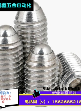 BSJL3/4/5/6/8/10/12/16加长型内六角304不锈钢球头柱塞 弹簧柱塞