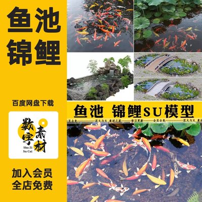 花园庭院鱼池su模型私家水景锦鲤园林鱼缸假山水族箱金鱼草图大师