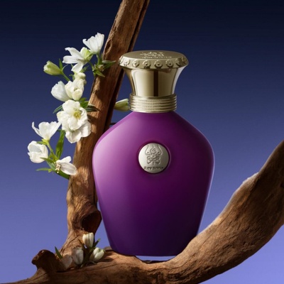 revanna香水全系试香小样