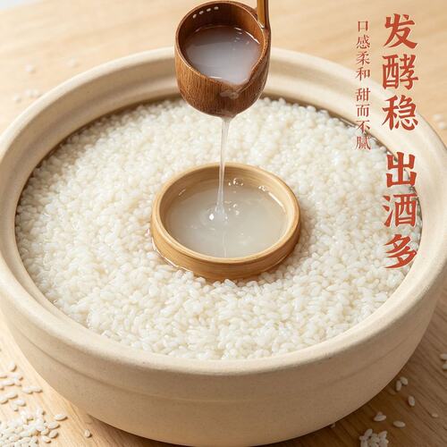 甜酒曲家用自制食用糯米酒酿醪糟酒发酵粉酒曲曲子发酵粉原料醇香