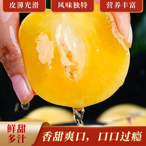 一苹坊【云南石林人参果】即食黄肉圆果树上熟头茬水润香甜爆汁