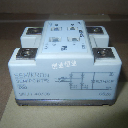 SKCH40/16 SKCH40/12 SKCH40/14 SKCH40/08 SKCH40/06全新原装