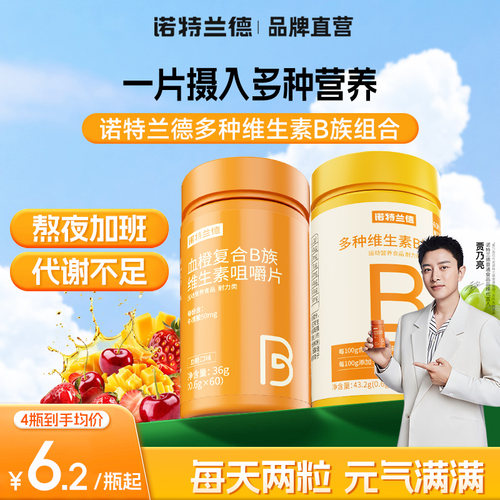 诺特兰德维生素B族咀嚼片