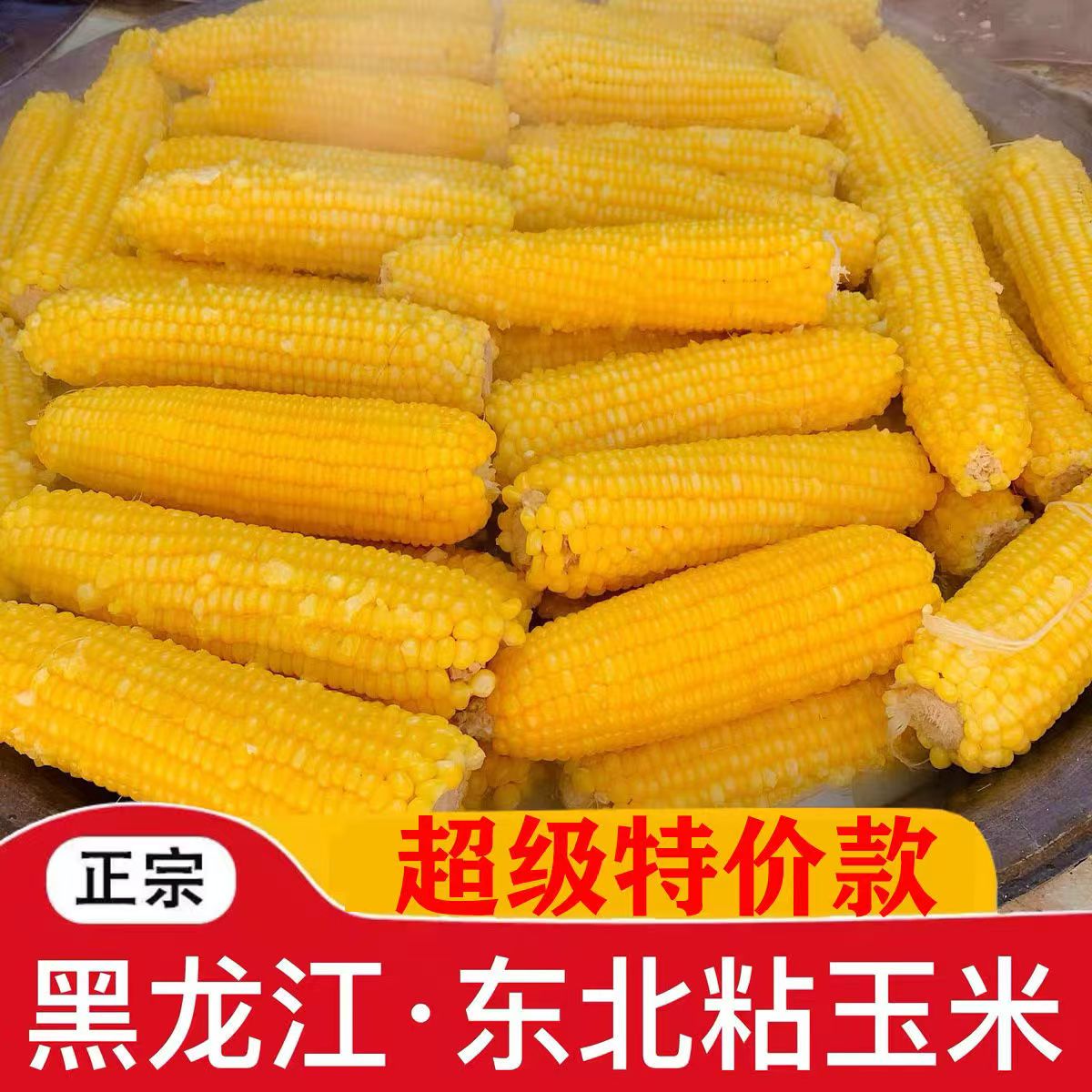 东北黑龙江黄糯玉米软糯香甜独立真空包装0添加玉米粗粮黄玉米