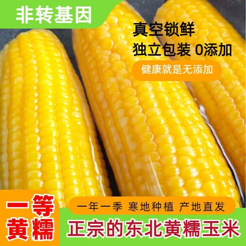 东北大黄糯玉米【真空精装】整箱黄玉米锁鲜代餐早餐大棒香糯玉米,粮油调味/速食/干货/烘焙,玉米,淘宝优惠券,粉丝福利购,淘宝优惠卷