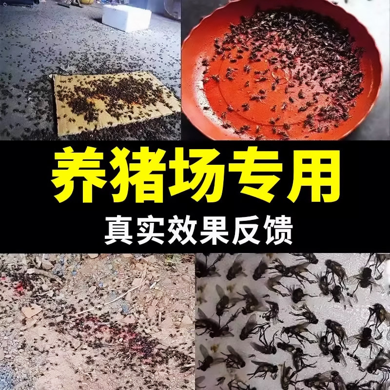 长效苍蝇杀虫剂灭蝇王喷厕所家用养殖场室外喷剂灭蚊蝇子药一闻死